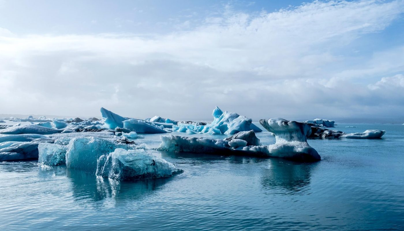 Une vaste étendue de la mer Arctique, avec des icebergs flottant dans les eaux froides, un décor parfait pour les ces étoiles lors de leurs expéditions dans l'Arctique.