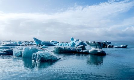 Une vaste étendue de la mer Arctique, avec des icebergs flottant dans les eaux froides, un décor parfait pour les ces étoiles lors de leurs expéditions dans l'Arctique.
